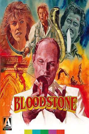 Download Bloodstone (1988) UNCUT Dual Audio {Hindi-English} Movie 480p | 720p BluRay 300MB | 900MB