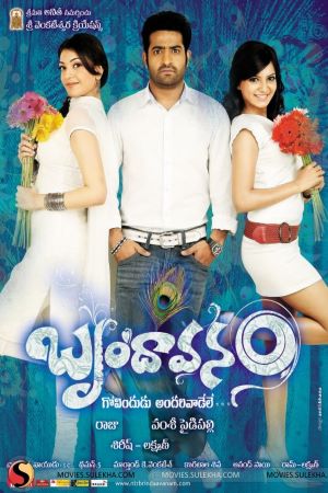 Download Brindaavanam {The Super Khiladi} (2010) UNCUT Dual Audio {Hindi-Telugu} Movie 480p | 720p | 1080p HDRip