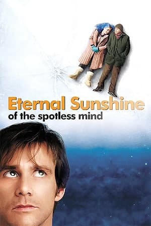 Download Eternal Sunshine of the Spotless Mind (2004) Dual Audio {Hindi-English} Movie 480p | 720p | 1080p BluRay ESub