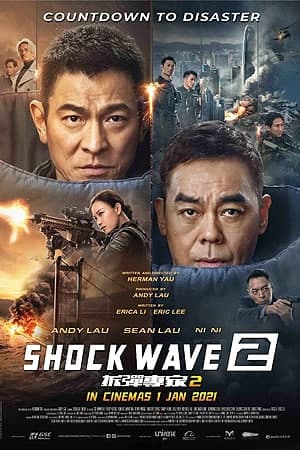 Download Shock Wave 2 (2020) Dual Audio [Hindi-Chinese] Movie 480p | 720p | 1080p BluRay ESub