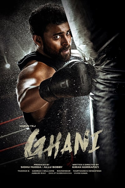Download Ghani (2022) UNCUT Dual Audio {Hindi (HQ)-Telugu} Movie 480p | 720p | 1080p HDRip