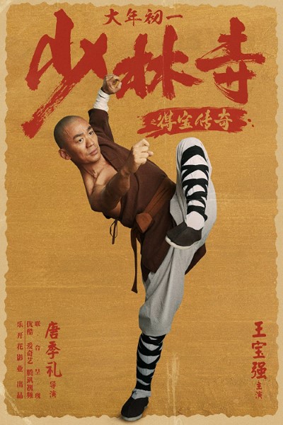 Download Rising Shaolin: The Protector (2021) Dual Audio {Hindi-Chinese} Movie 480p | 720p WEB-DL